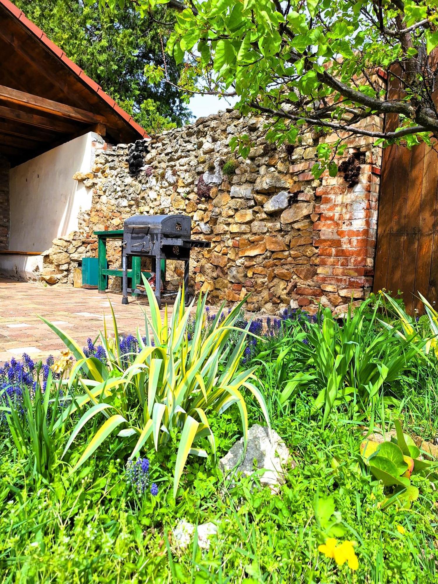 Penzion Villa Agnes Smolenice Exterior photo